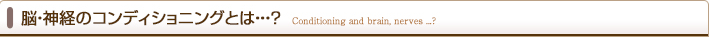 脳・神経のコンディショニングとは?